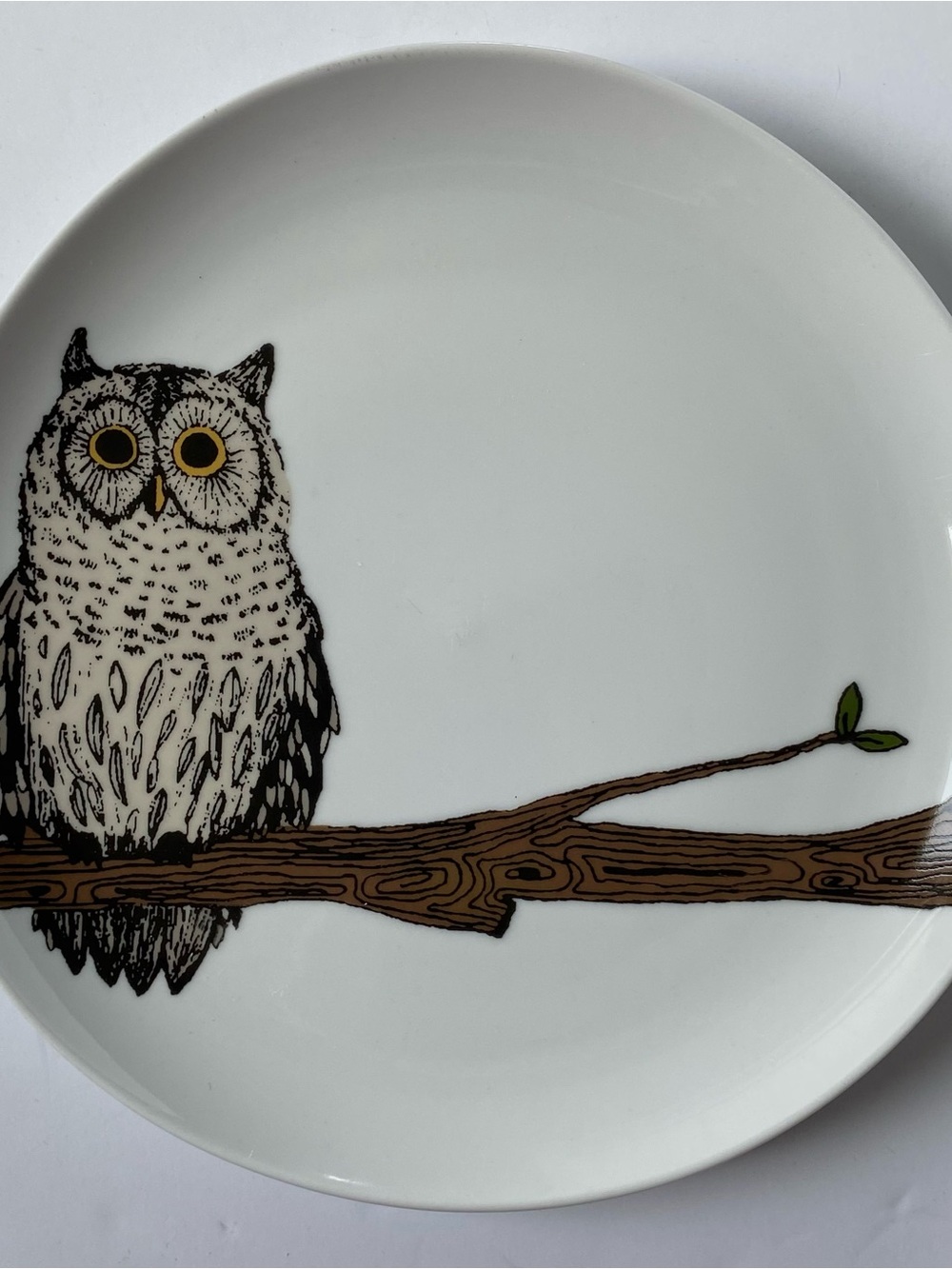 West Elm Owl Plate 8.5” Serving Art Drawing Display Bird Ceramic Birding Tree